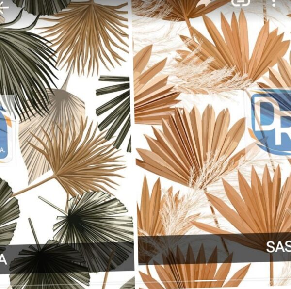 Estampas - Image 16